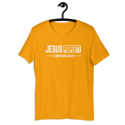 Jesus Property T-Shirt Various Colors